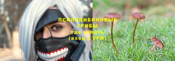 гидропоника Липки
