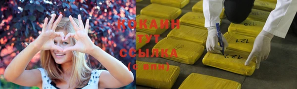дмт Ладушкин