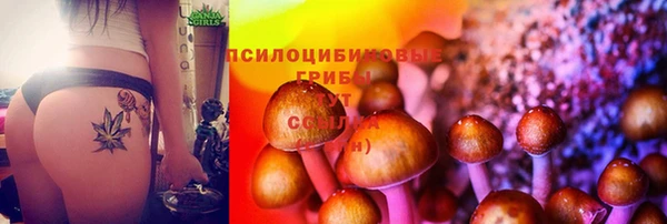 дмт Ладушкин