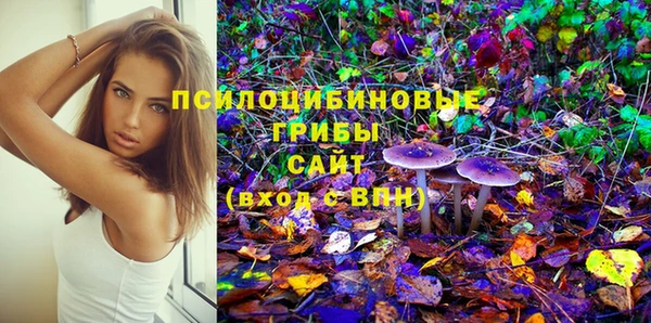 дмт Ладушкин