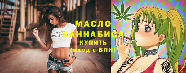 дмт Ладушкин
